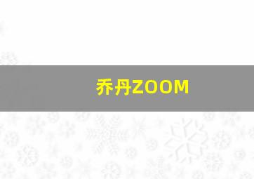 乔丹ZOOM