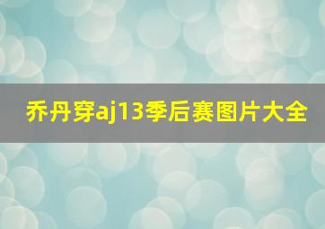 乔丹穿aj13季后赛图片大全