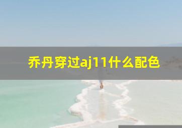 乔丹穿过aj11什么配色