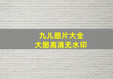 九儿图片大全大图高清无水印