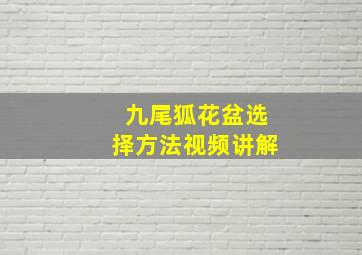 九尾狐花盆选择方法视频讲解