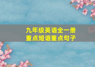 九年级英语全一册重点短语重点句子