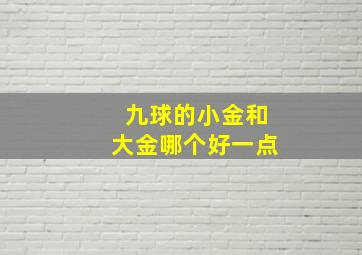 九球的小金和大金哪个好一点