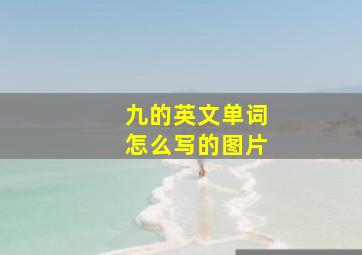 九的英文单词怎么写的图片