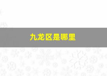 九龙区是哪里