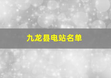 九龙县电站名单