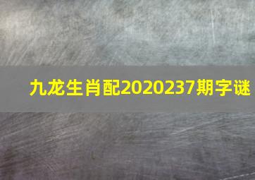 九龙生肖配2020237期字谜