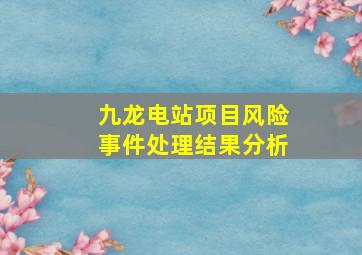 九龙电站项目风险事件处理结果分析