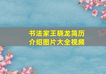 书法家王晓龙简历介绍图片大全视频