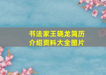 书法家王晓龙简历介绍资料大全图片