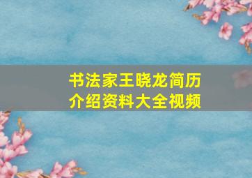 书法家王晓龙简历介绍资料大全视频