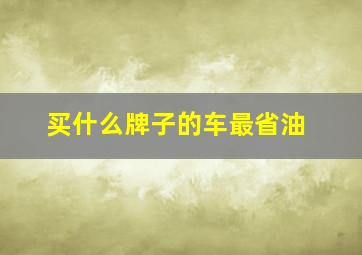 买什么牌子的车最省油