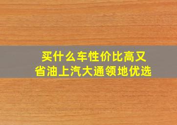 买什么车性价比高又省油上汽大通领地优选