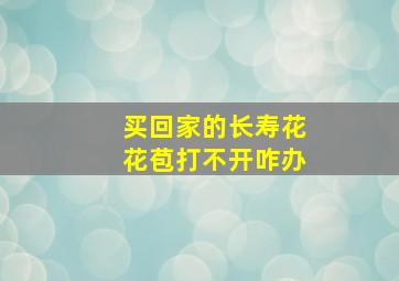 买回家的长寿花花苞打不开咋办