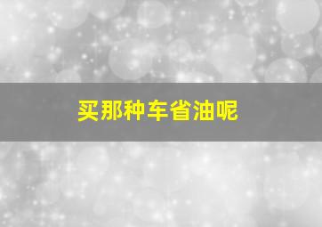 买那种车省油呢