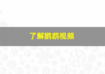 了解鹦鹉视频