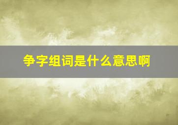 争字组词是什么意思啊