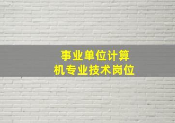 事业单位计算机专业技术岗位