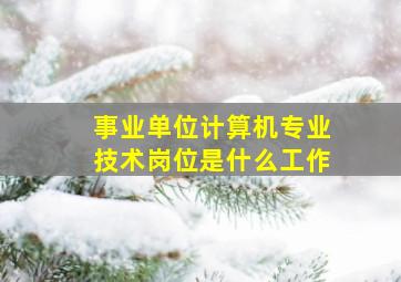 事业单位计算机专业技术岗位是什么工作