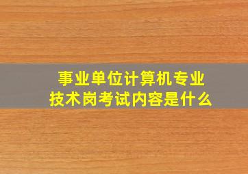 事业单位计算机专业技术岗考试内容是什么