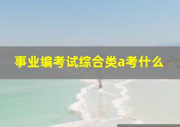 事业编考试综合类a考什么