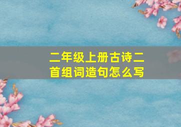 二年级上册古诗二首组词造句怎么写