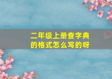 二年级上册查字典的格式怎么写的呀