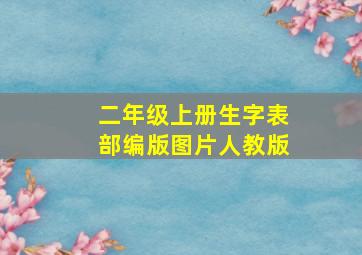 二年级上册生字表部编版图片人教版