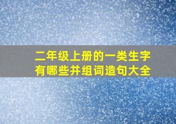 二年级上册的一类生字有哪些并组词造句大全