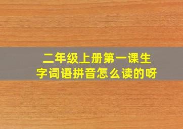 二年级上册第一课生字词语拼音怎么读的呀