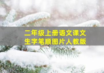 二年级上册语文课文生字笔顺图片人教版