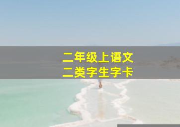 二年级上语文二类字生字卡