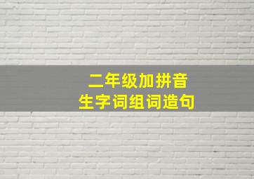 二年级加拼音生字词组词造句