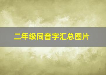 二年级同音字汇总图片