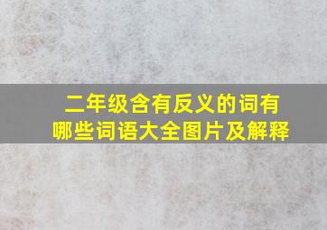 二年级含有反义的词有哪些词语大全图片及解释