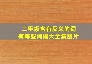 二年级含有反义的词有哪些词语大全集图片