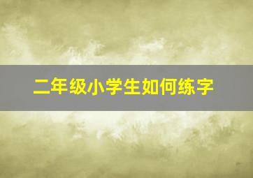 二年级小学生如何练字