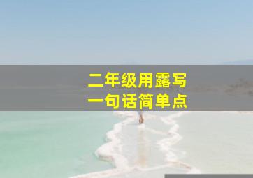 二年级用露写一句话简单点