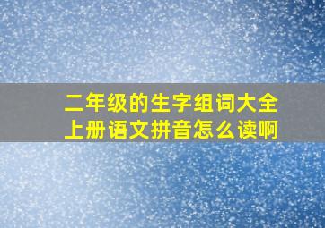 二年级的生字组词大全上册语文拼音怎么读啊