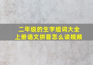 二年级的生字组词大全上册语文拼音怎么读视频