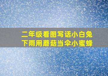 二年级看图写话小白兔下雨用蘑菇当伞小蜜蜂