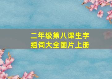 二年级第八课生字组词大全图片上册