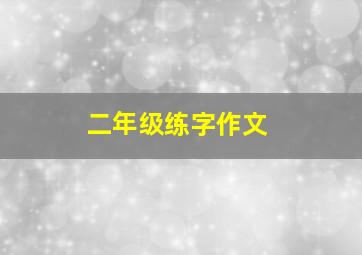 二年级练字作文