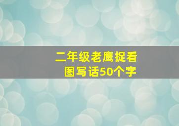 二年级老鹰捉看图写话50个字