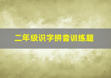 二年级识字拼音训练题