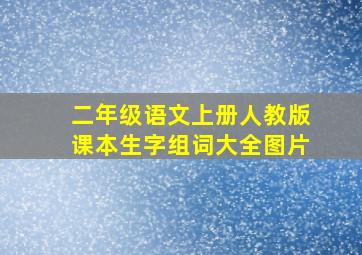 二年级语文上册人教版课本生字组词大全图片