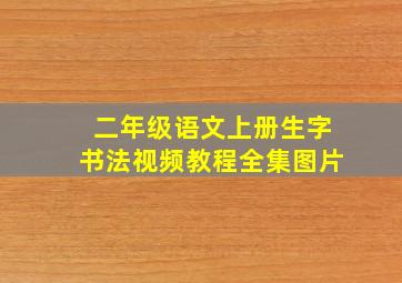 二年级语文上册生字书法视频教程全集图片