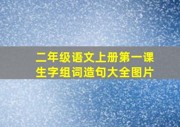 二年级语文上册第一课生字组词造句大全图片