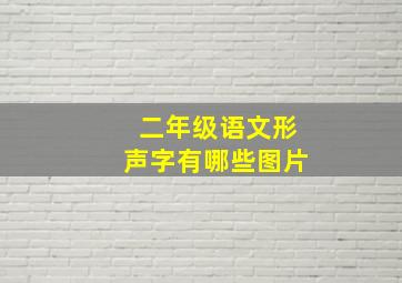 二年级语文形声字有哪些图片