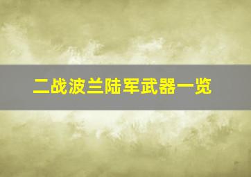 二战波兰陆军武器一览